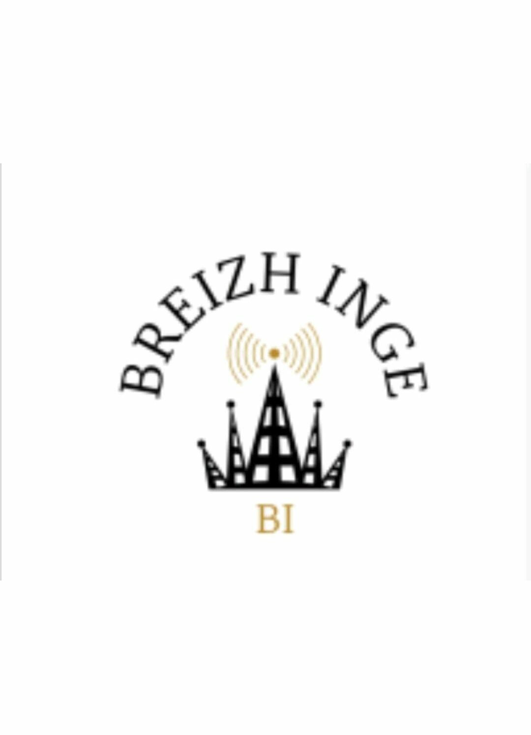 logo SARL BREIZH INGE